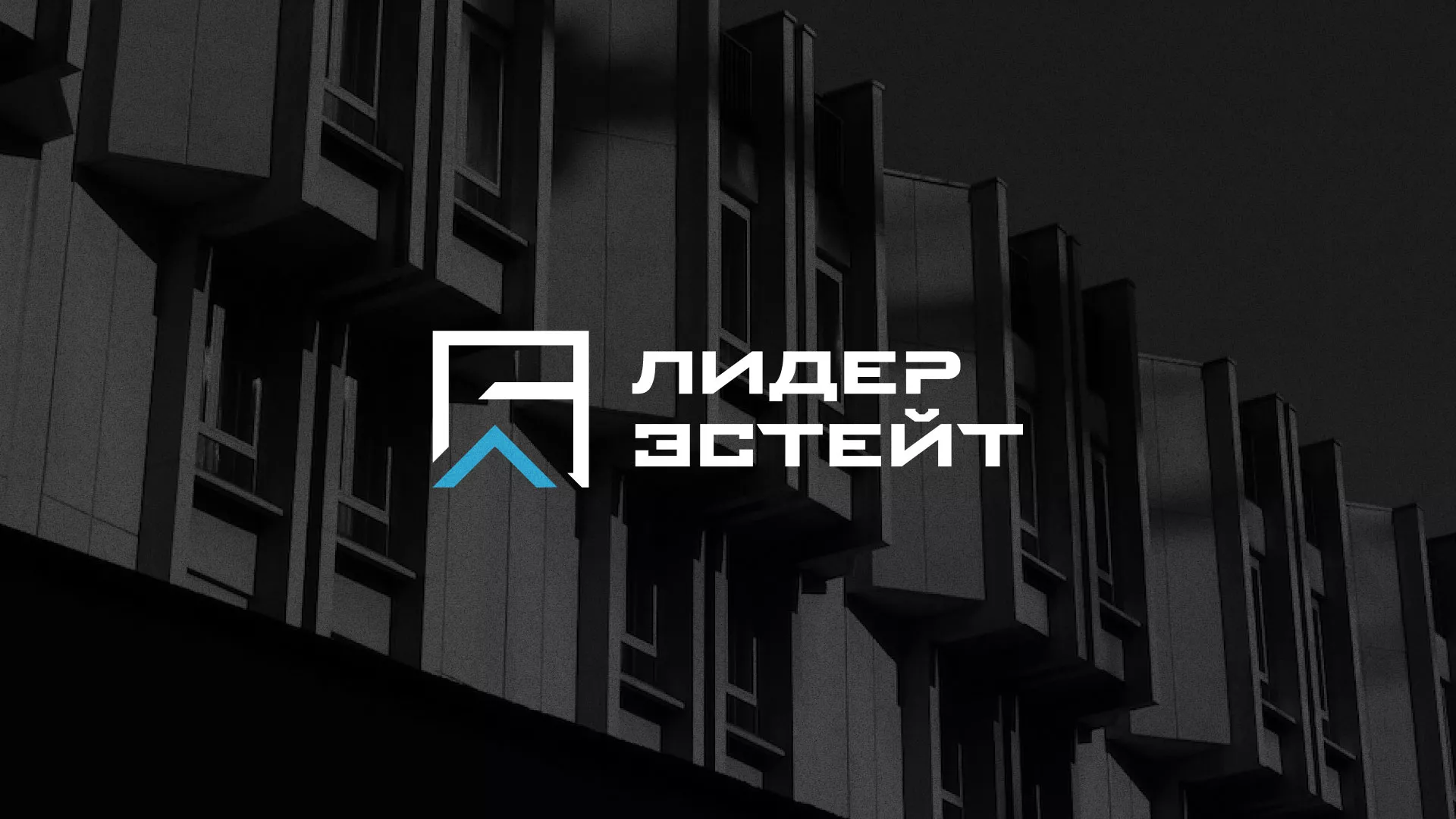 Разработка логотипа агентства недвижимости «Лидер Эстейт» в Верхнеуральске