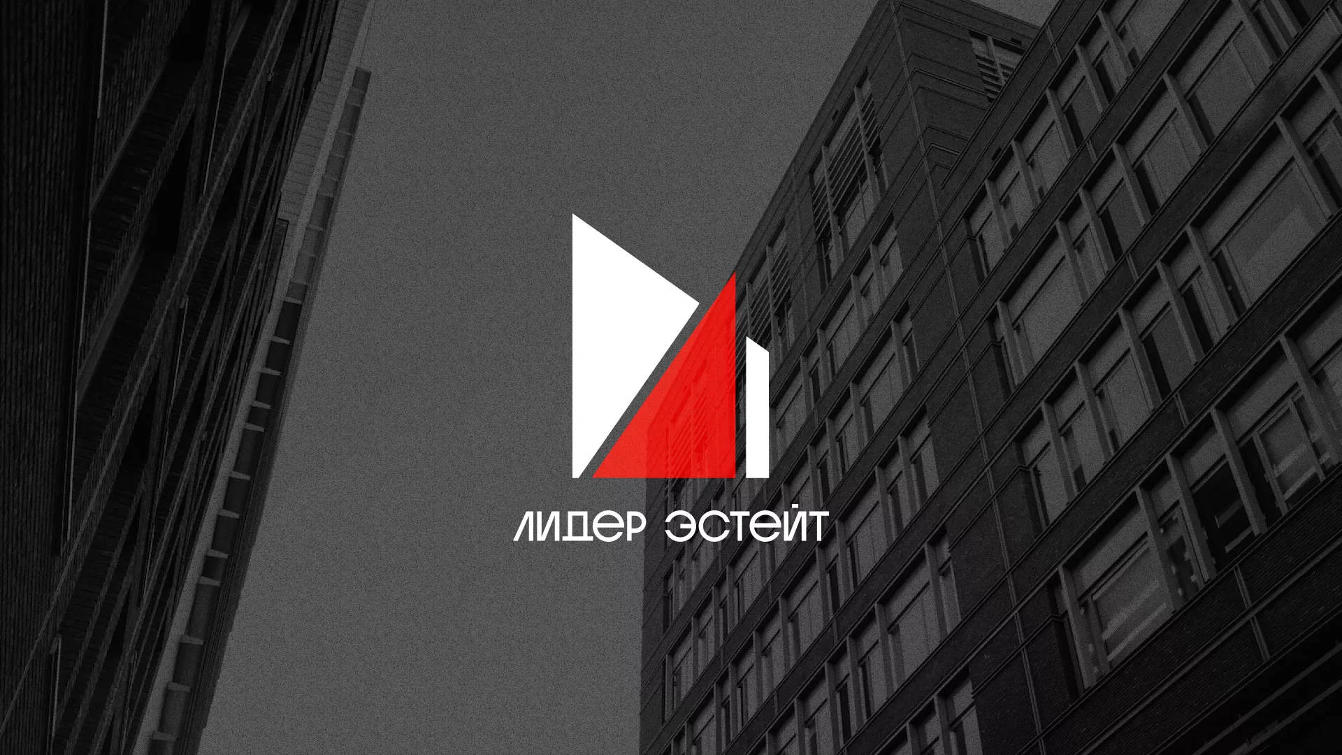 Сделали логотип для агентства недвижимости «Лидер Эстейт» в Верхнеуральске